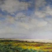 Schiermonnikoog-strandzicht