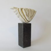 Unfold-nieuw