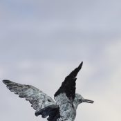 Foto_4