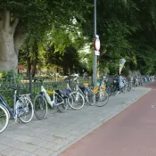 Park-Klasiek-foto-Hennie-Henzen-9974