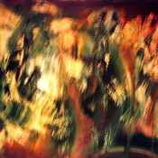 1216159443_resized