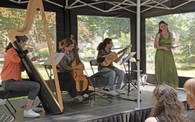 Concert met welhaast ademloos luisterend publiek